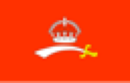 Baroda flag