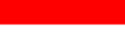 Indore flag